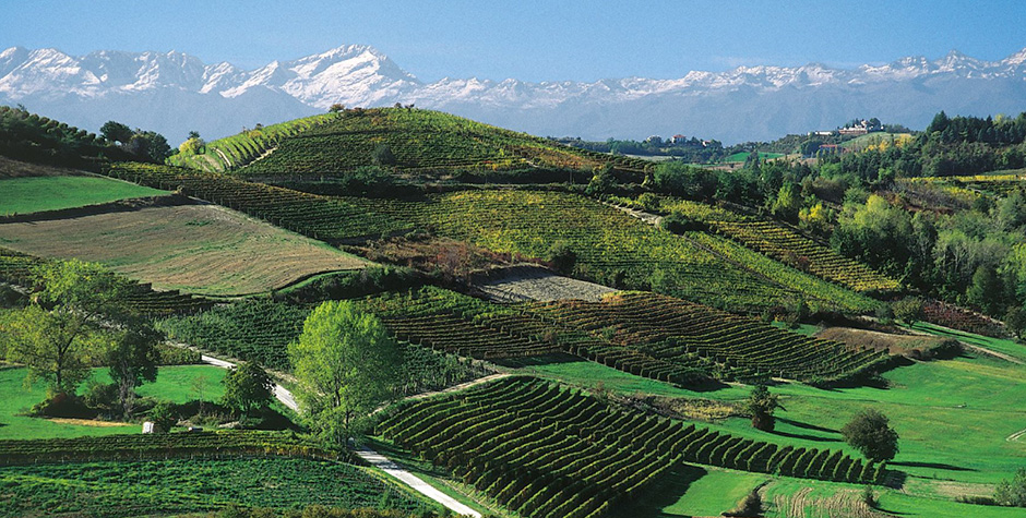 Monchiero | Langhe e Roero