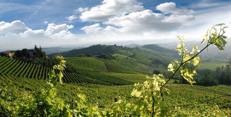 Alfiano Natta | Monferrato